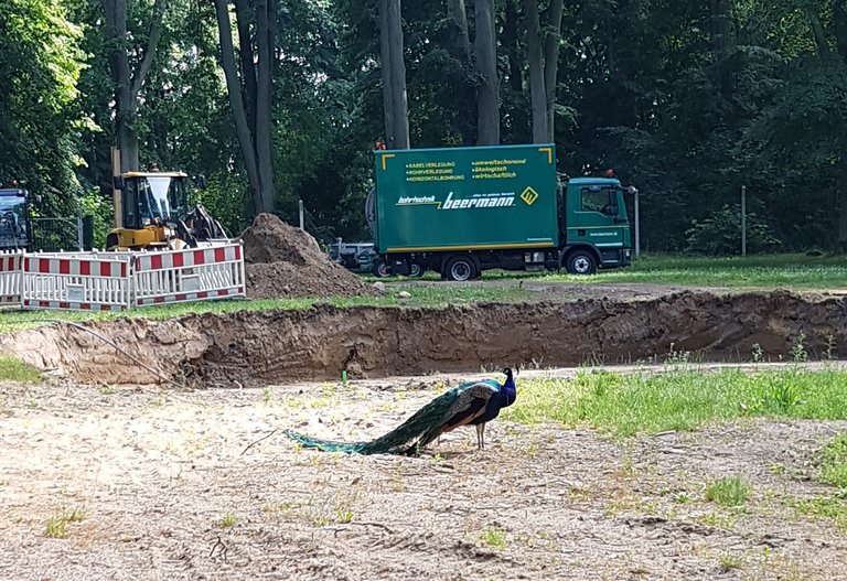 Tiefbauarbeiten 2021