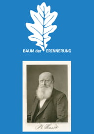 Pl Baum Der Erinnerung